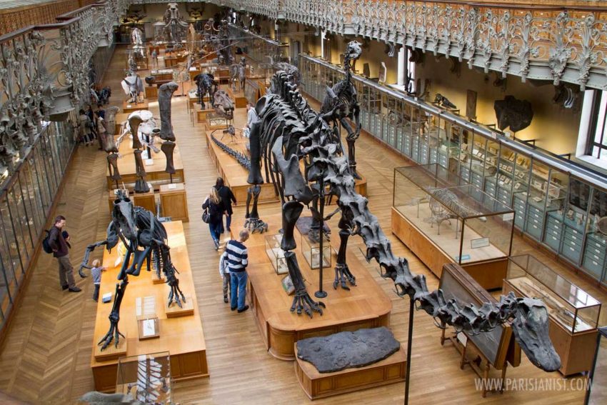 The History Of Paleontology