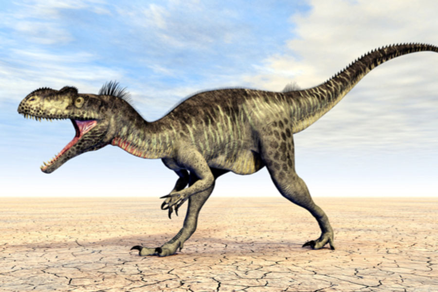 The Megalosaurus was the first dinosaur to be officially named, following its discovery in Oxfordshire in 1824 (Image: Shutterstock)