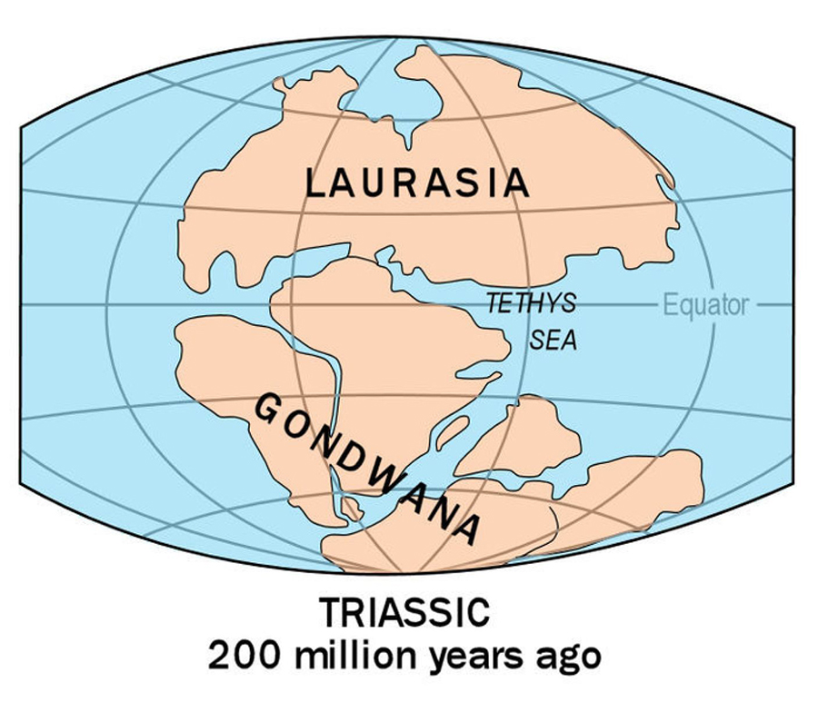 The continents Laurasia-Gondwana, 200 million years ago. Credit: United States Geological Survey