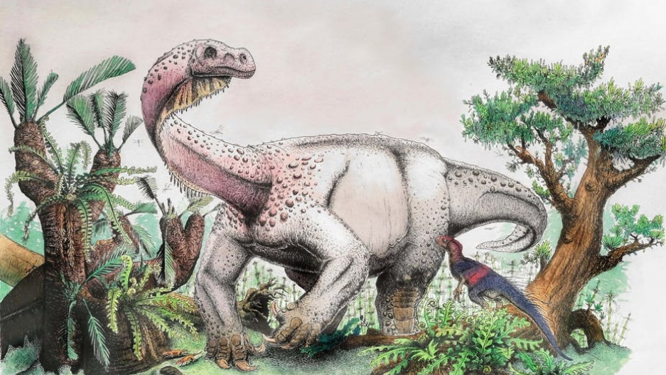 The dinosaur Ledumahadi mafube — reconstructed in this illustration — made headlines in 2018. Credit: Courtesy of Viktor Radermacher