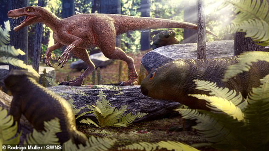 The predator — named 'Gnathovorax cabreirai' — lived 230 million years ago when South America, pictured in this artist's impression, was still part of the supercontinent Pangaea