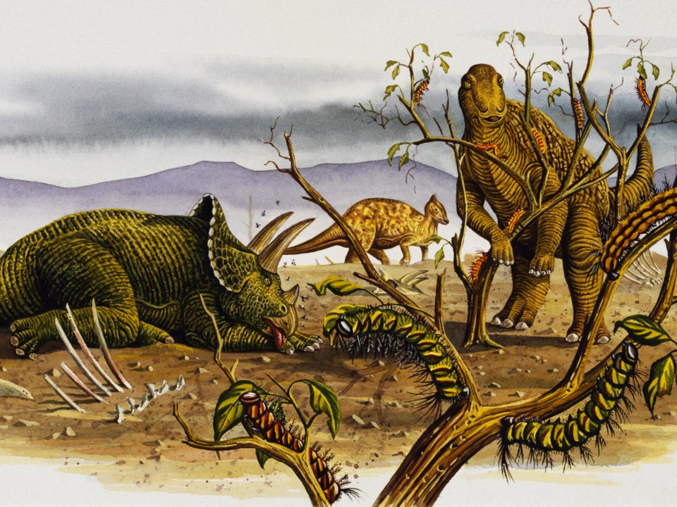 "There is no particular record of a great famine or other environmental catastrophes in the Late Cretaceous that would cause a large migration like that seen in 'The Land Before Time,'" Cullen wrote. De Agostini Picture Library / Getty Images