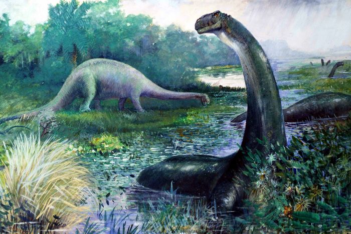 This is how brontosaurus and diplodocus were depicted in 1897 by Charles R. Knight. (Wikimedia Commons)
