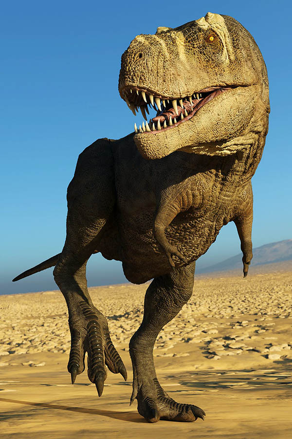 Tyrannosaurus rex belonged to a dinosaur group called theropods. Shutterstock