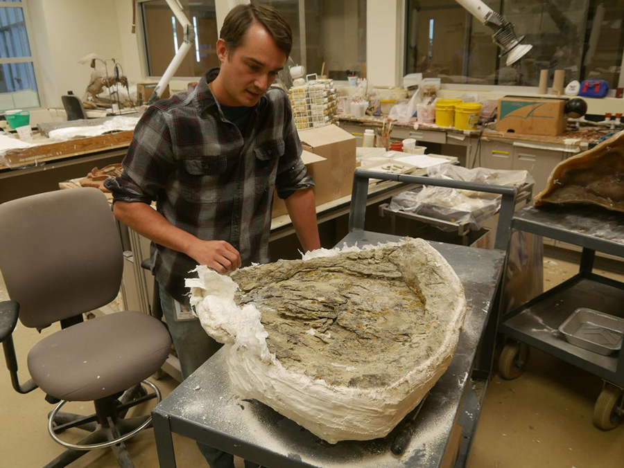 VMNH Assistant Curator of Paleontology Dr. Alex Hastings discusses the uncommonly well preserved sauropod footprint he recently collected on a dig in Wyoming.  Ben Williams