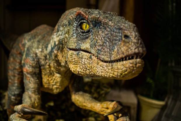 The Velociraptors in Jurassic Park were scaly and much bigger than the real thing © paikong / Shutterstock