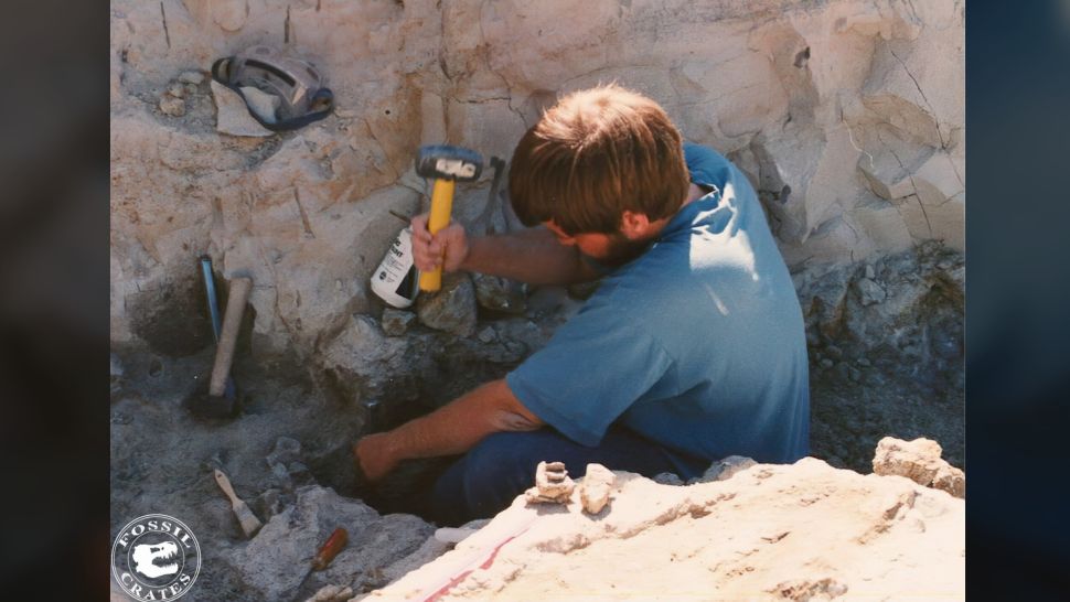 Vertebrate paleontologist Brian Curtice digs for dinosaur bones. (Image credit: Courtesy Fossil Crates)