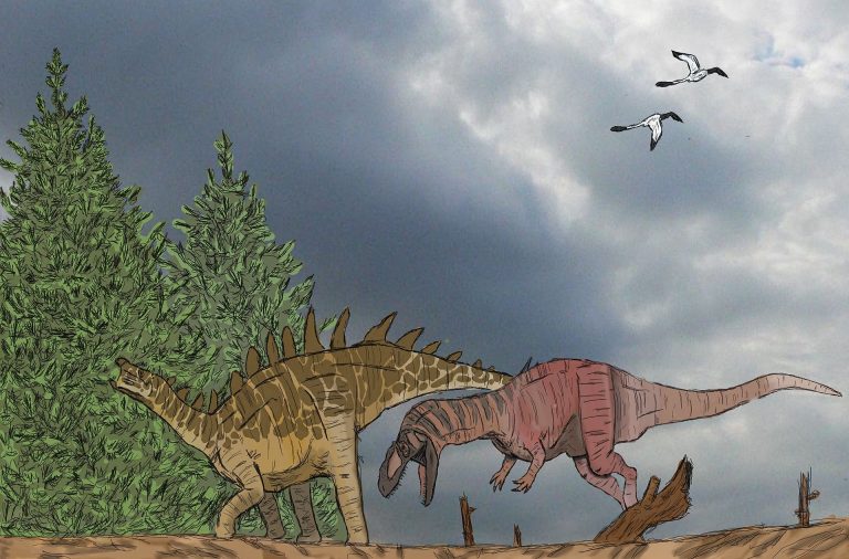 Yangchuanosaurus attacking Tuojiangosaurus. Author: Foolp