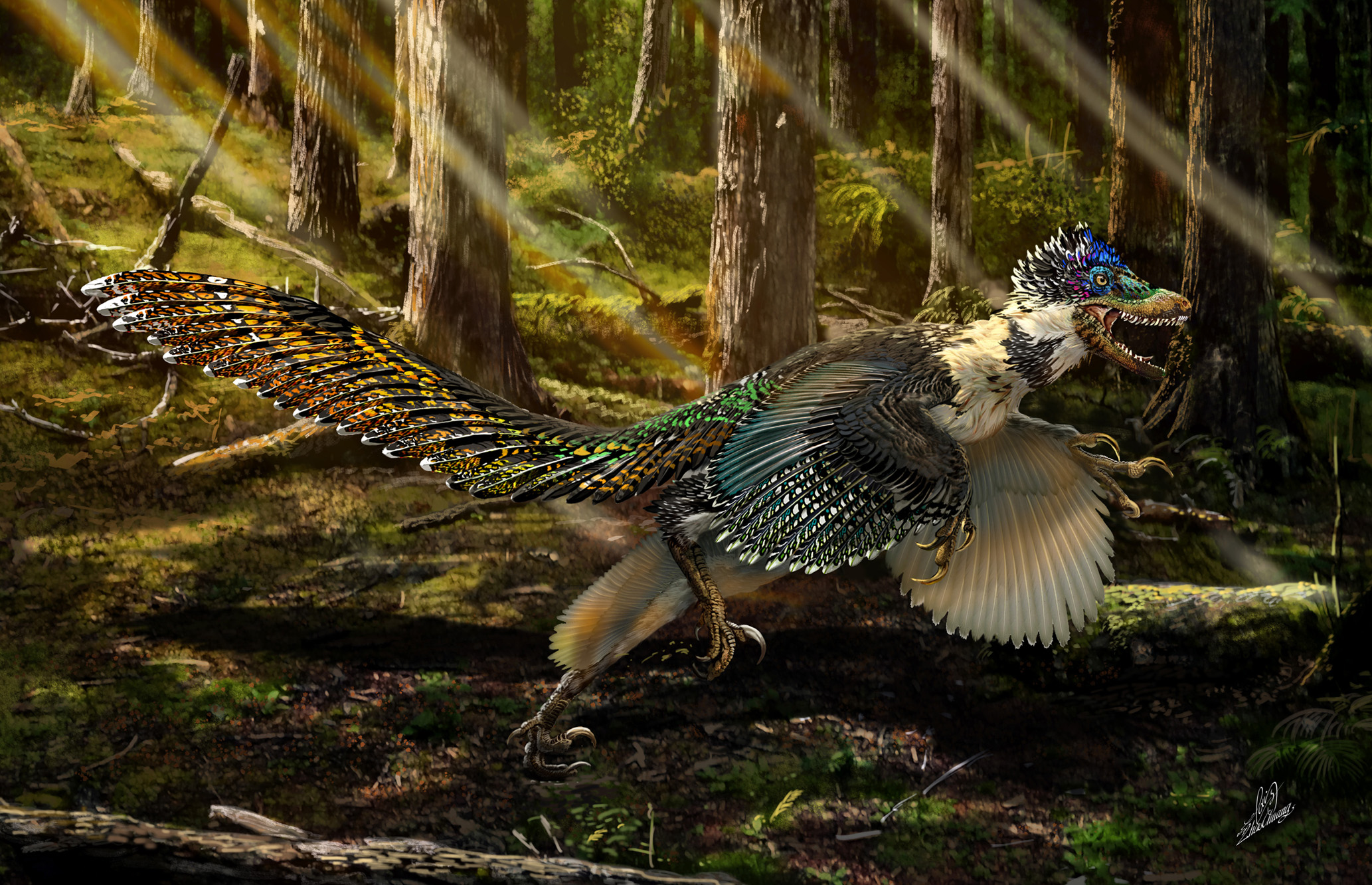 A RESTORATION OF ZHENYUANLONG IN A CRETACEOUS FOREST. Art: Zhao Chuang 