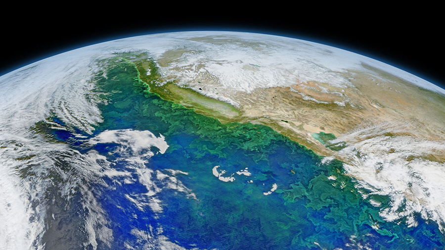 A 2016 algal bloom off California’s coast. Similar blooms may have helped life recover after the dinosaur-killing asteroid impact. NASA/GODDARD/SUOMIN-NPP/VIIRS (CC-BY)