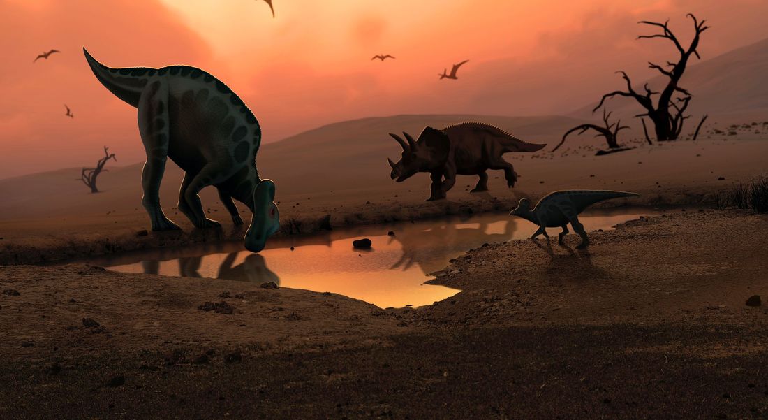 Credit: Getty Images