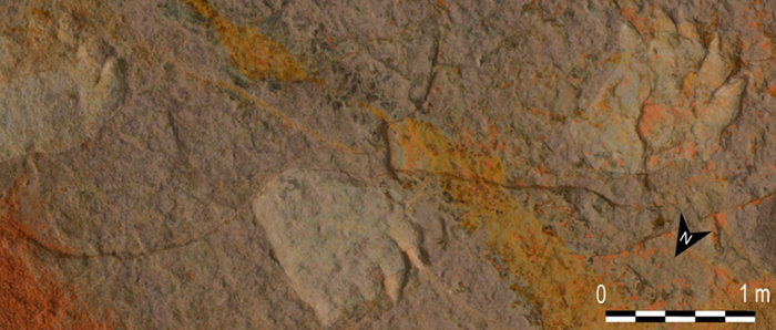 Example of fossilized dinosaur tracks. They’re about a meter long! Source: Paper
