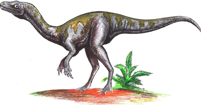 Nyasasaurus parringtoni by Nobu Tamura
