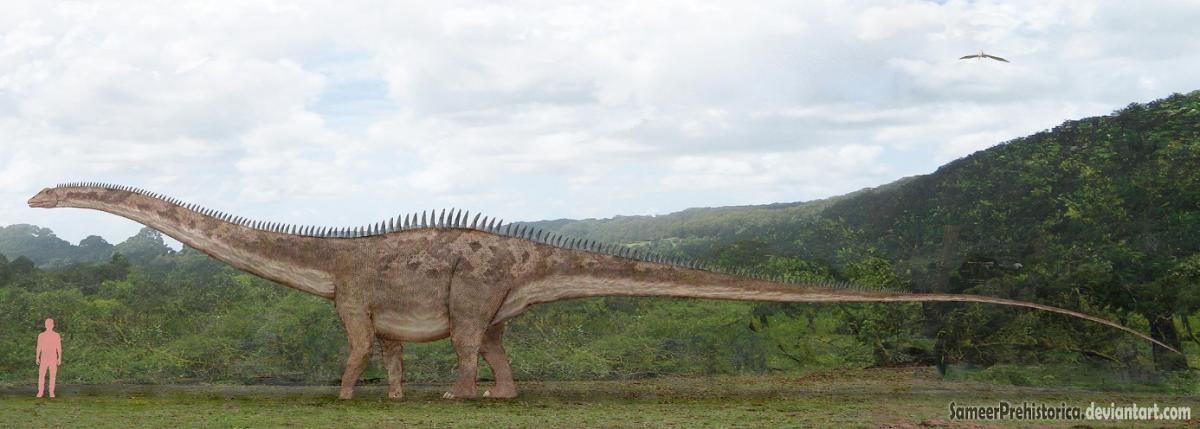 Diplodocus by SameerPrehistorica
