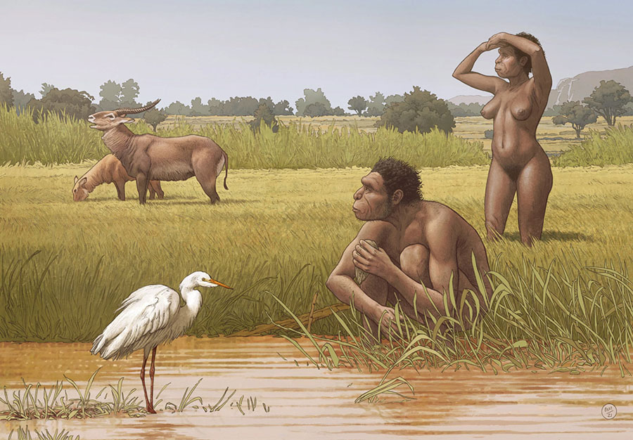 Homo bodoensis had a pan-African distribution with the peripheral range extending into the eastern Mediterranean (Southeast Europe and the Levant) from which it could have contributed to the repopulation of European (and possibly Central and East Asian) demographic sinks after the glaciations. Image credit: Ettore Mazza.