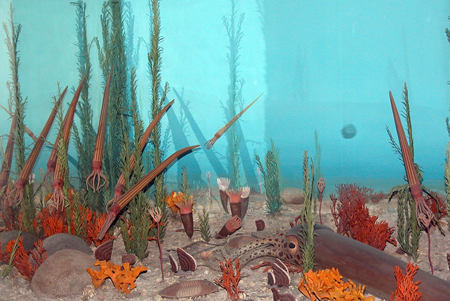Ordovician sea life. Image credit: Fritz Geller-Grimm / National Museum of Natural History / CC BY-SA 2.5.
