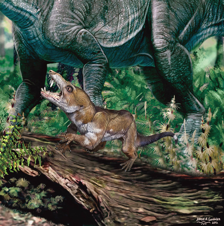 An artist’s impression of Pseudotherium argentinus. Image credit: Agencia CTyS-UNLaM.