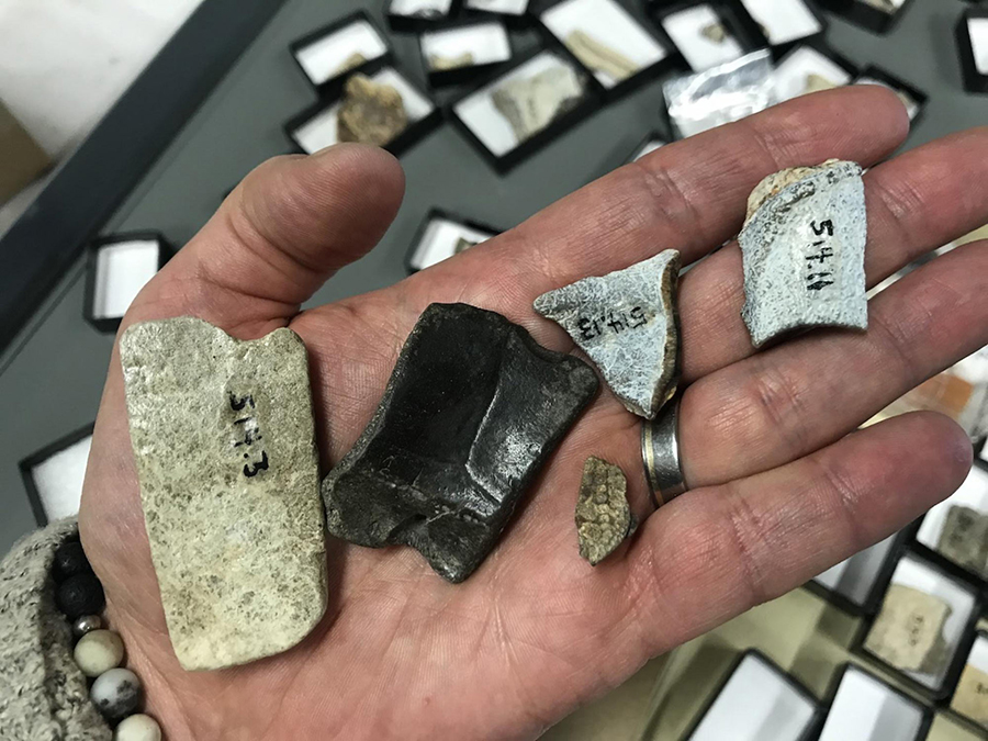 Series of fossils recovered from the Yukon: pieces of shells from two different species of turtle (left), a fossil from a relative of a modern pike fish (middle) and two fragments of ancient rhino teeth (right). Image credit: Grant Zazula / Jaelyn Eberle.