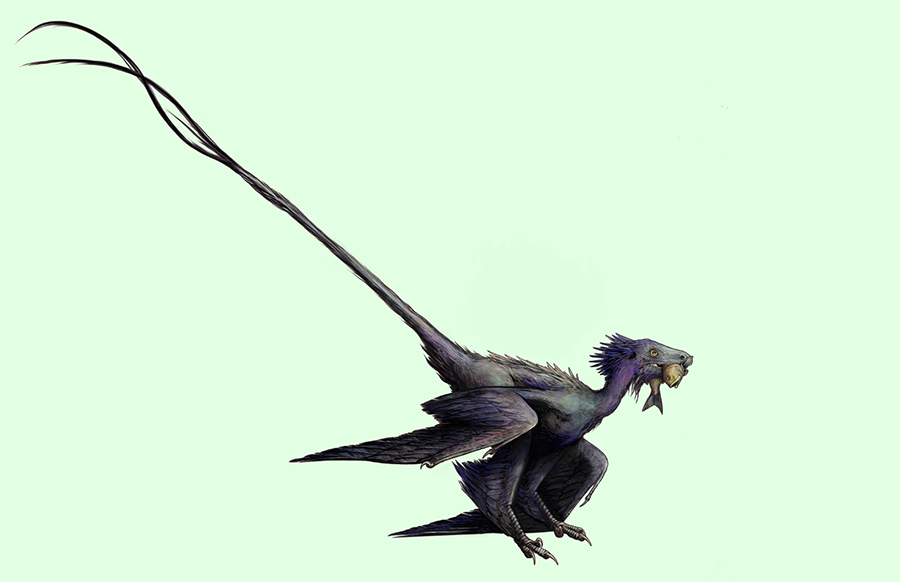 An artist’s rendering of what Wulong bohaiensis might have looked like. Image credit: Erick Toussaint.