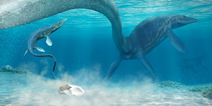 An artist’s rendering of a pair of mosasaurs and their egg. Image credit: Francisco Hueichaleo.