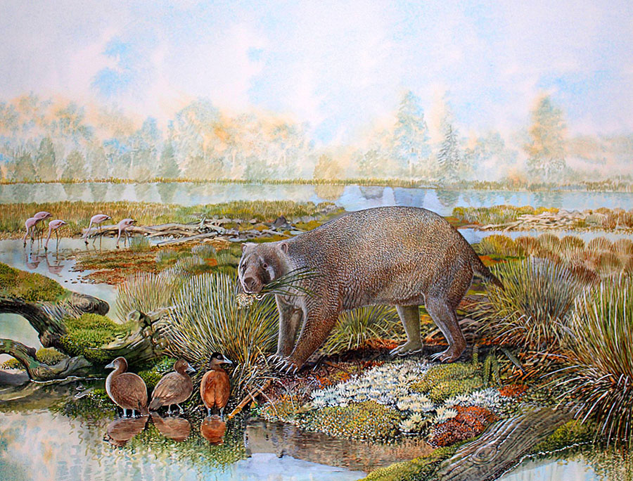 Giant Wombat-Like Marsupials Roamed Australia 25 Million Years Ago