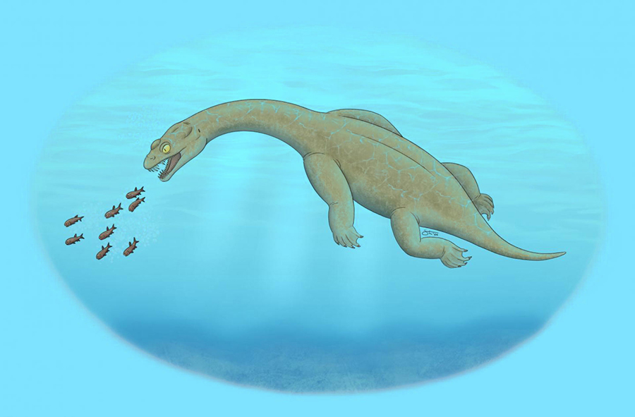 An artist’s reconstruction of Brevicaudosaurus jiyangshanensis. Image credit: Tyler Stone, tylerstoneart.wordpress.com.