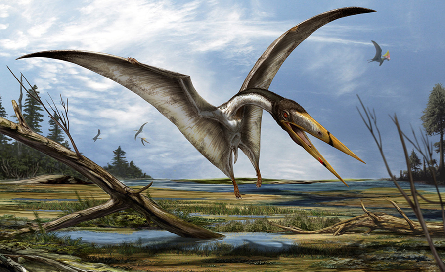 An artist’s impression of the azhdarchids pterosaur Alanqa saharica. Image credit: Davide Bonadonna.