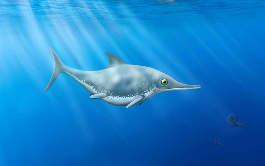 An artist’s impression of Thalassodraco etchesi. Image credit: Megan Jacobs.