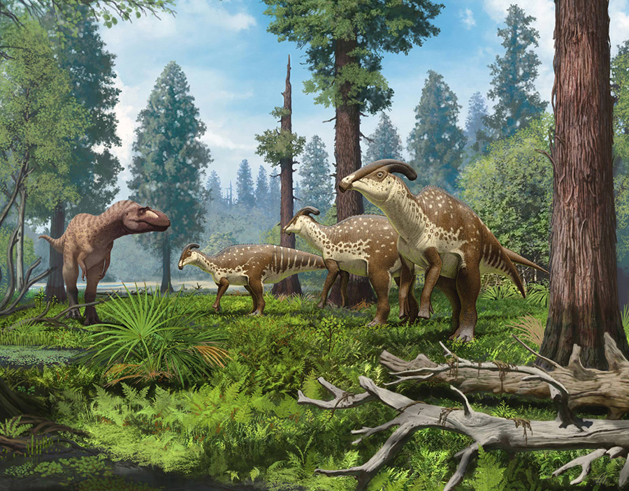 A group of Parasaurolophus cyrtocristatus being confronted by a tyrannosaurid in the subtropical forests of New Mexico 75 million years ago. Image credit: Andrey Atuchin.