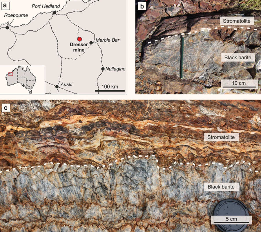 Location of the Dresser mine in Western Australia (a) and black barite associated with originally sulfidic stromatolites at the sampling site (b) and in the working area (c). The close association between the inclusion-bearing black barites and stromatolites suggests that hydrothermal fluids might have influenced ancient microbial communities. Image credit: Mißbach et al., doi: 10.1038/s41467-021-21323-z.