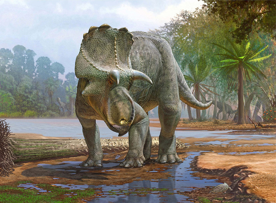 Life reconstruction of Menefeeceratops sealeyi. Image credit: Sergey Krasovskiy.