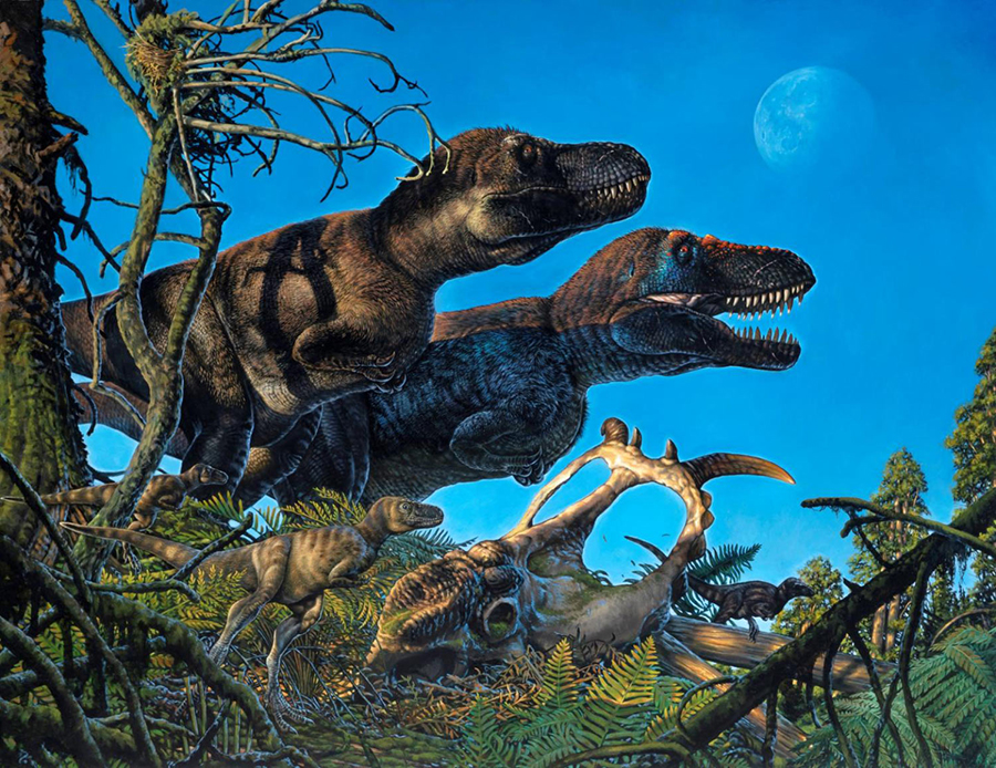 A pair of adult Nanuqsaurus tyrannosaurs and their young. Image credit: James Havens.