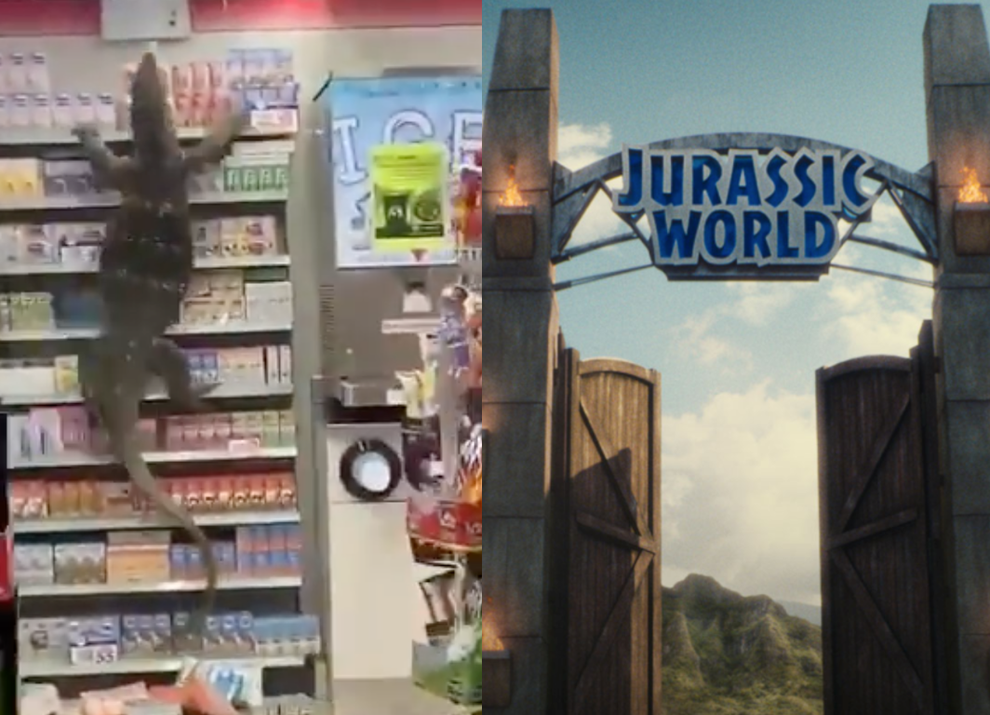 Jurassic World social media account joked that they did not claim responsibility for this lizard’s behaviour in a Thai shop (Facebook)