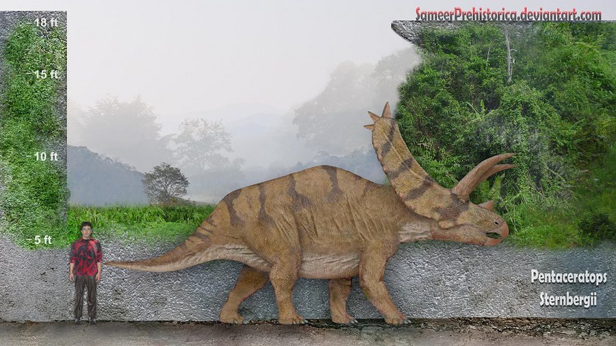 Pentaceratops by SameerPrehistorica