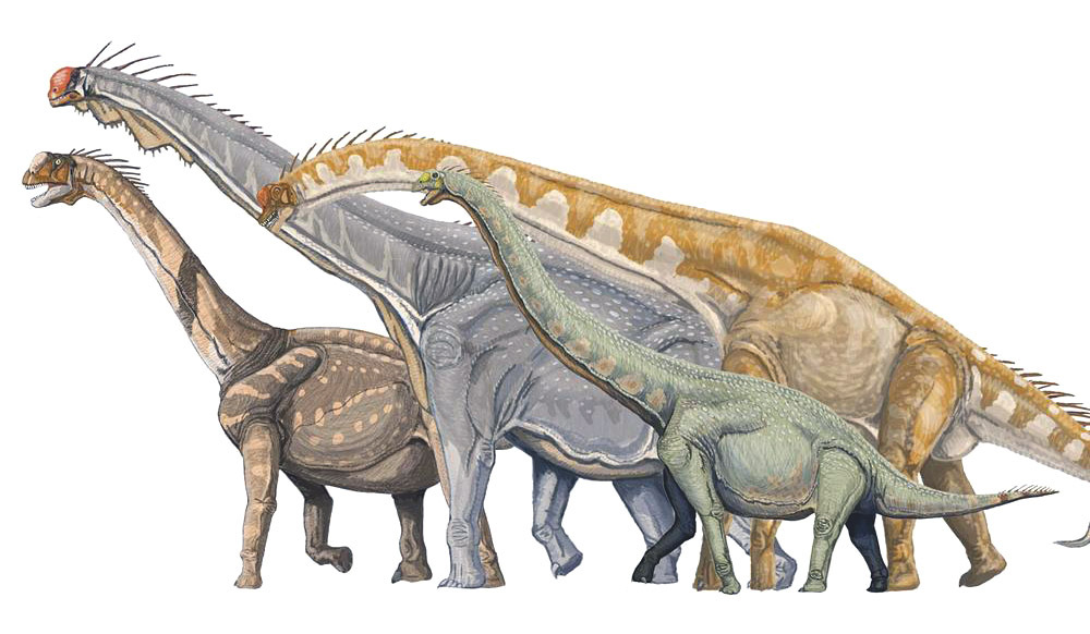 Different sauropods.