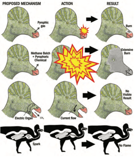 From “Fire-Breathing Dinosaurs? Physics, Fossils, and Functional Morphology vs. Pseudoscience,” Skeptical Inquirer Vol. 41, #4