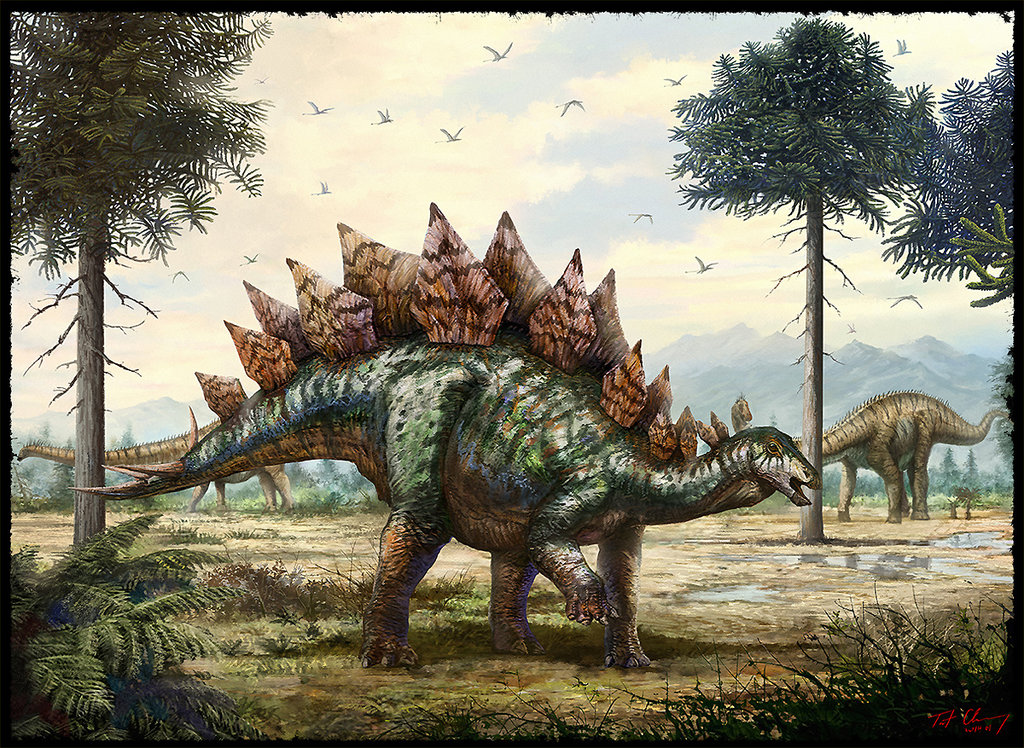 Stegosaurus stenops by cheungchungtat