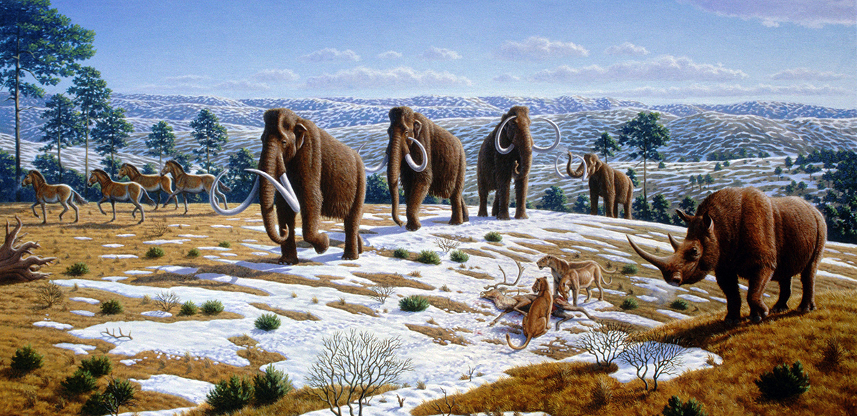An artist's impression of an Ice Age ecosystem – similar to the one that Pleistocene Park is trying to recreate(Credit: Mauricio Antón/CC BY 2.5)