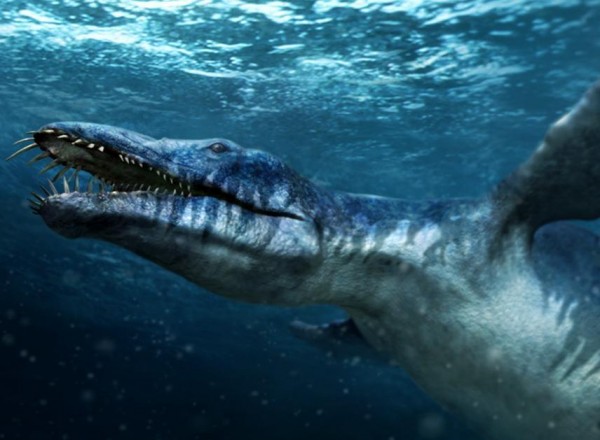 Liopleurodon