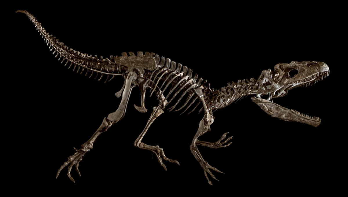 Photo: Courtesy of Binoche et Giquello