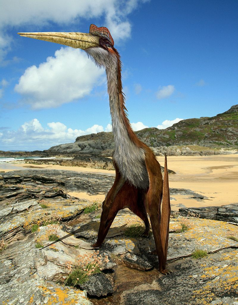 Quetzalcoatlus by Johnson Mortimer