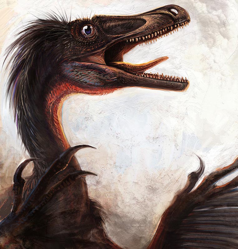 Velociraptor mongoliensis by cheungchungtat